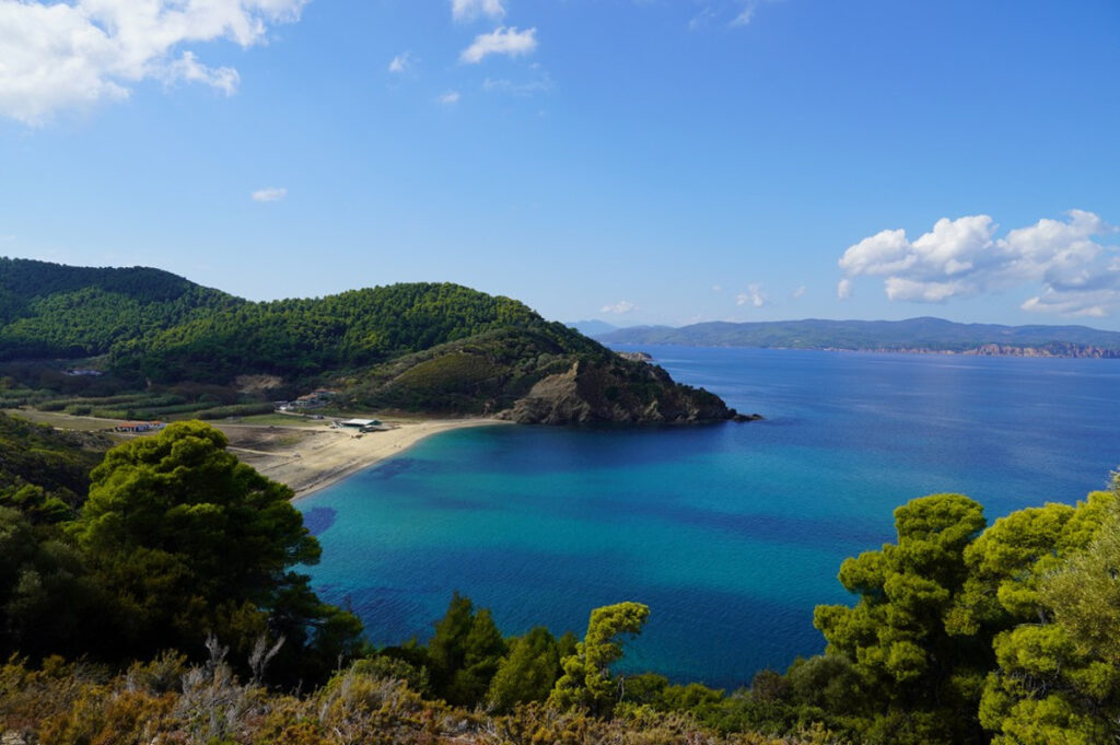 A beach of Skiathos a seen from a hiking trail