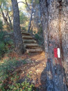 A white and red trail waymark on a pine tree at Poros Trails