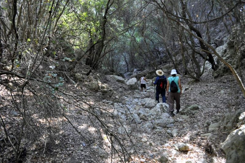 People walking on a gorge covered with high trees on Kythera island, Greece