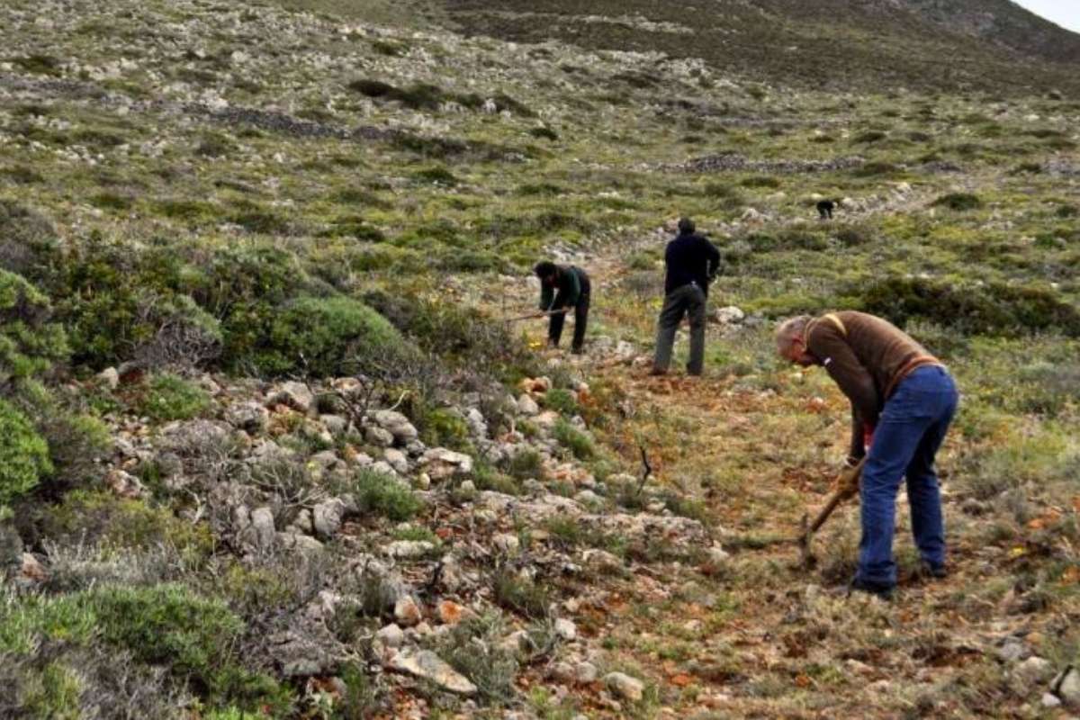 Locals clearing a trail from vegetation on Kythera island, Greece